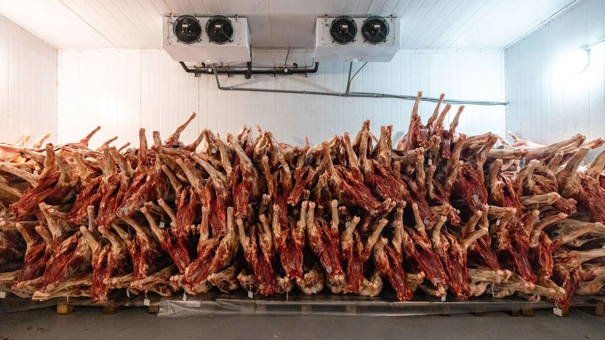    Фото: Сергей Зубков / «Ямал-Медиа»