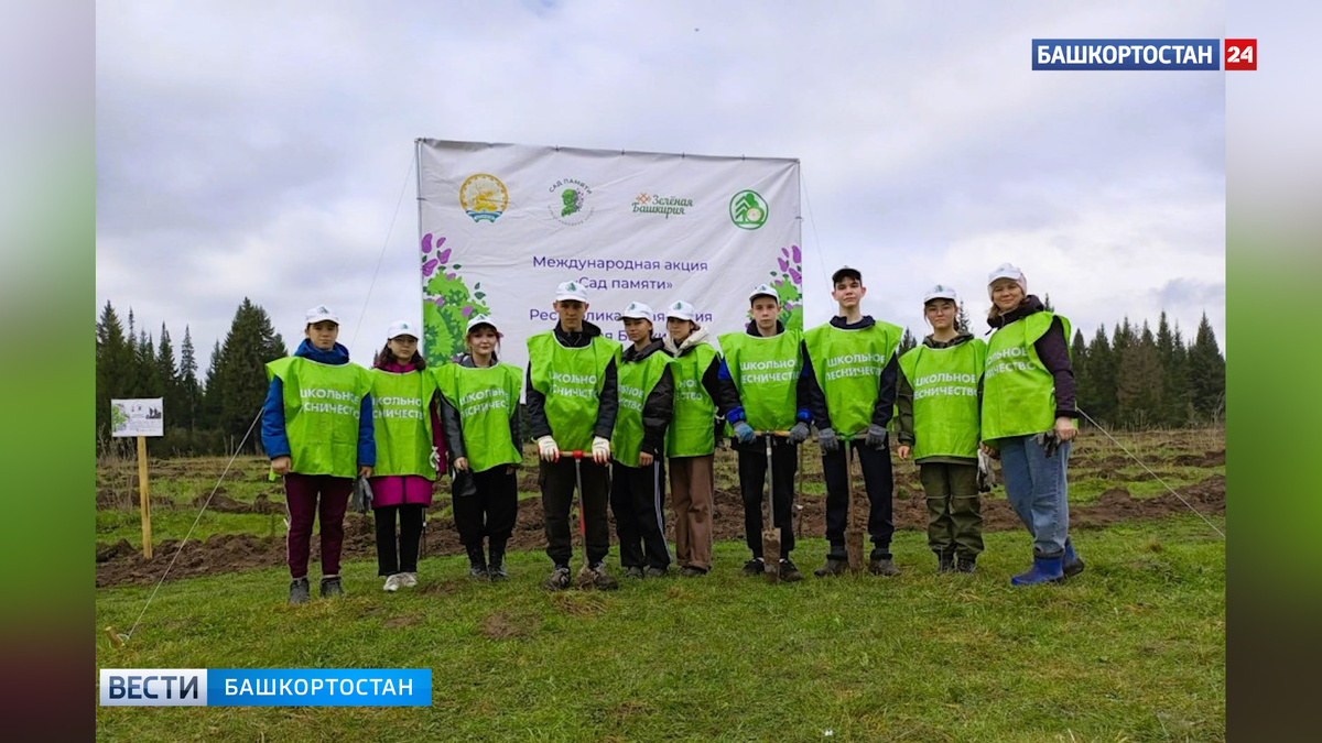    Юные лесоводы Башкортостана активно поддержали акцию «Сад памяти»