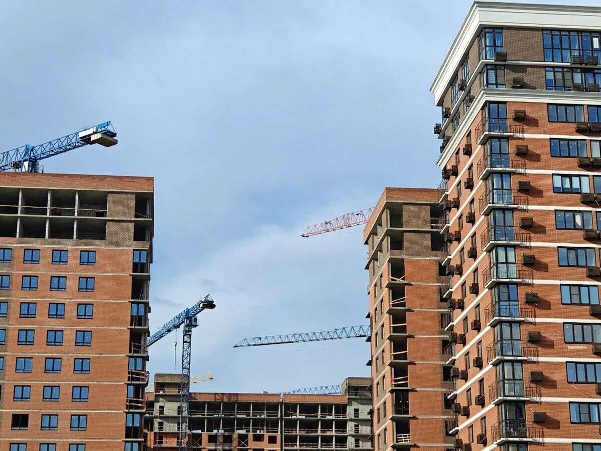    Фото: Юрий Серебренников/BFM Кубань