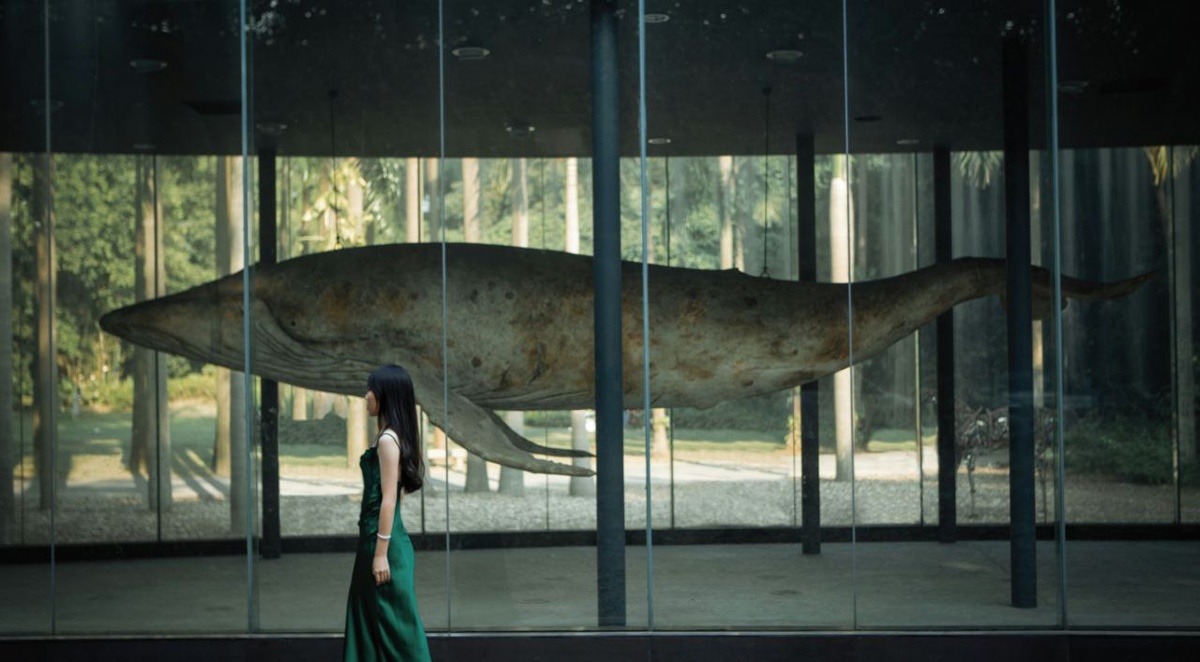 Photo by Vino Li on Unsplash