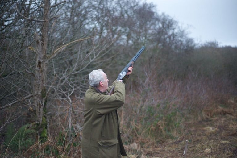    Фото: pexels.com Дарья Дейвальд