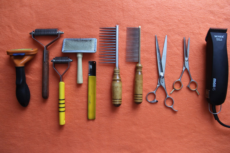 Всё что необходимо для груминга