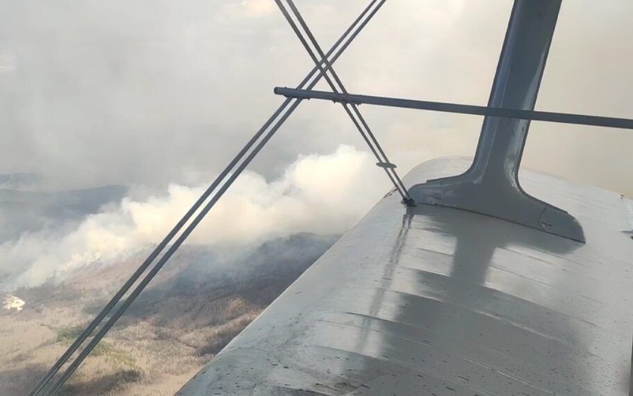    Фото: Пресс-служба Минприроды Забайкалья