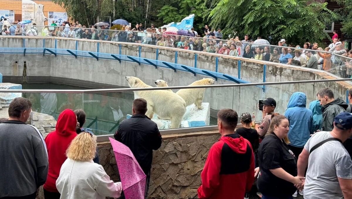     Автор: Эмилия Губарева Источник: atas.info