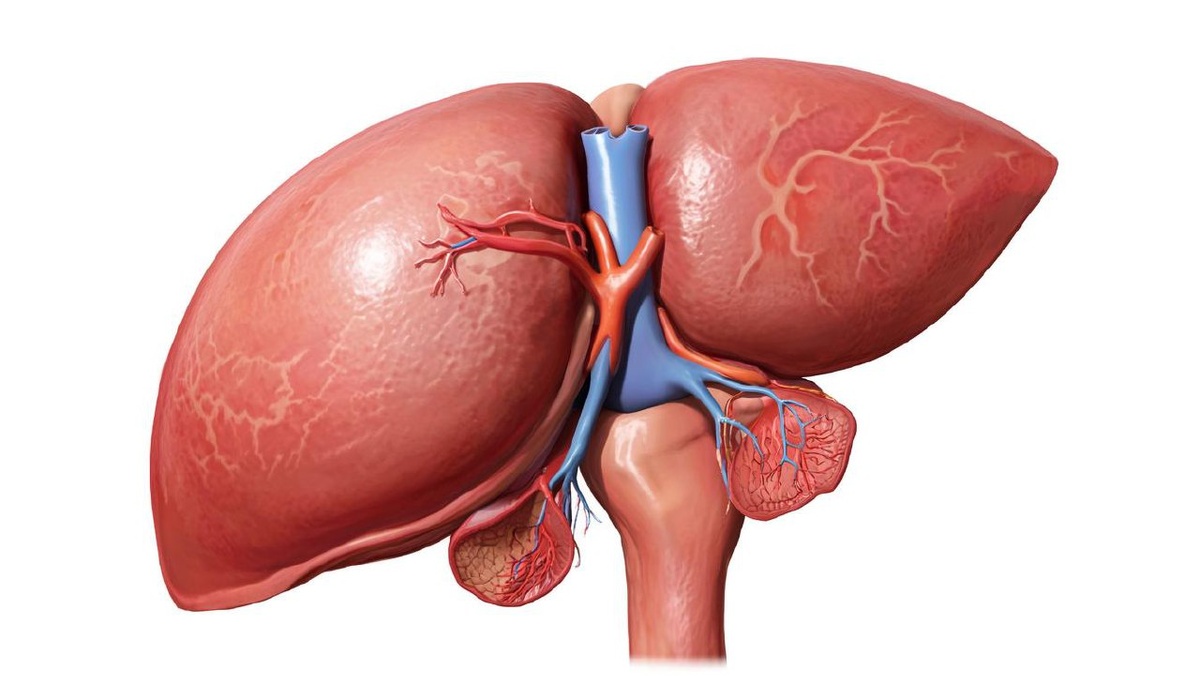    Фото сгенерировано Kandinsky 3.1