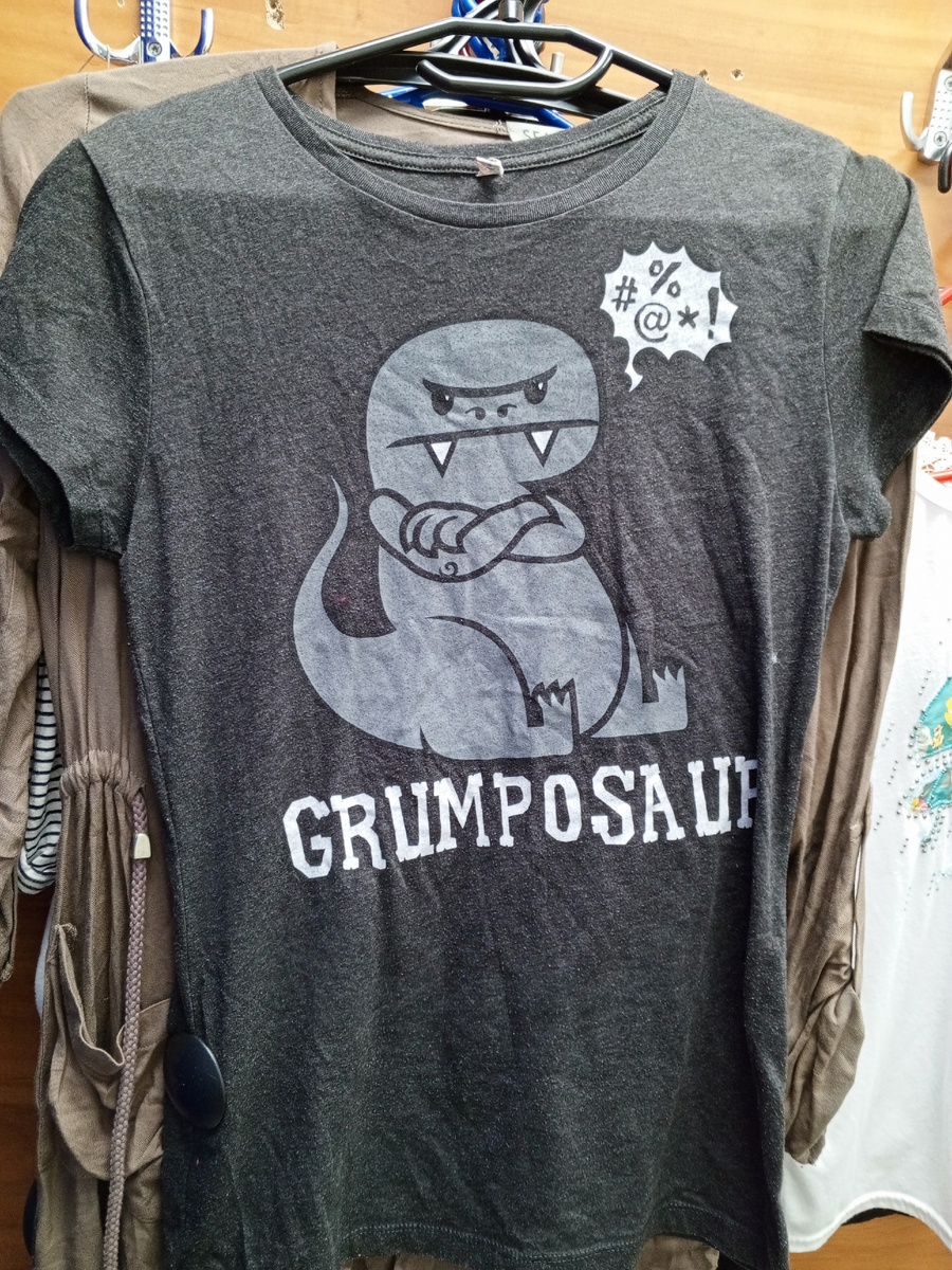 Футболка с надписью и вот таким зверьком, показалась мне интересной. Цена сегодня 160 рублей