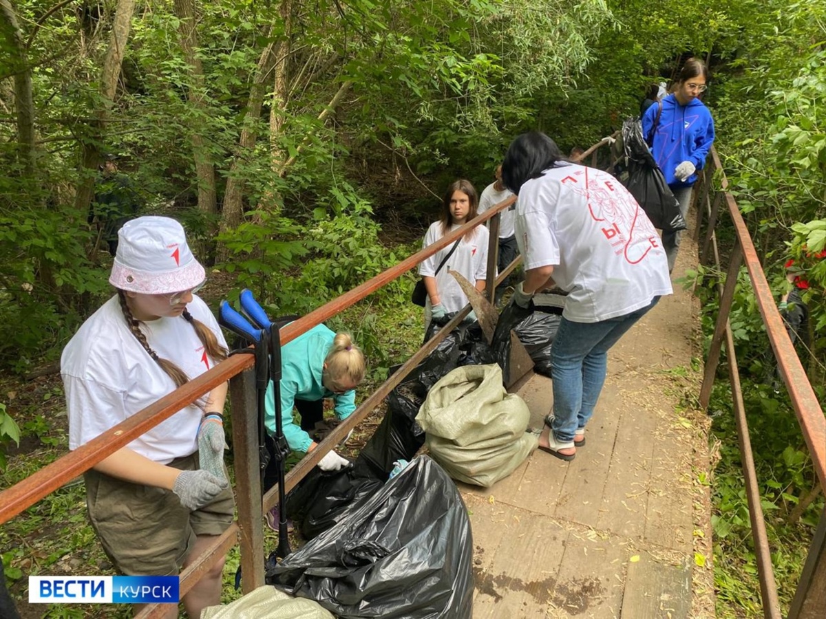    Городские власти не среагировали: овраг от мусора в Курске убирают волонтеры