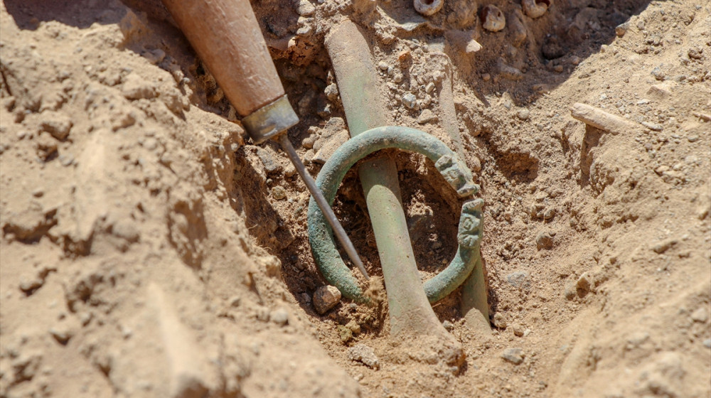   Тайна гибели Романовых раскрыта: удивительные факты и новые открытия