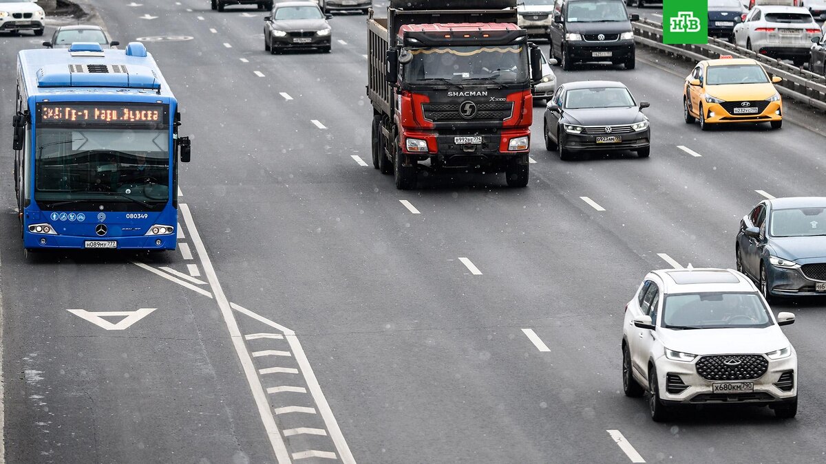    Фото: РИА Новости © 2025, Владимир Астапкович