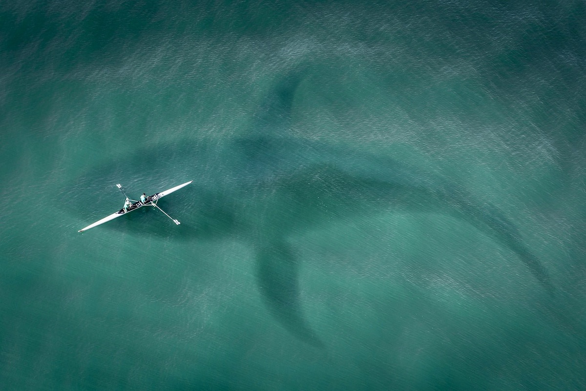 Фото взято с Pixabay