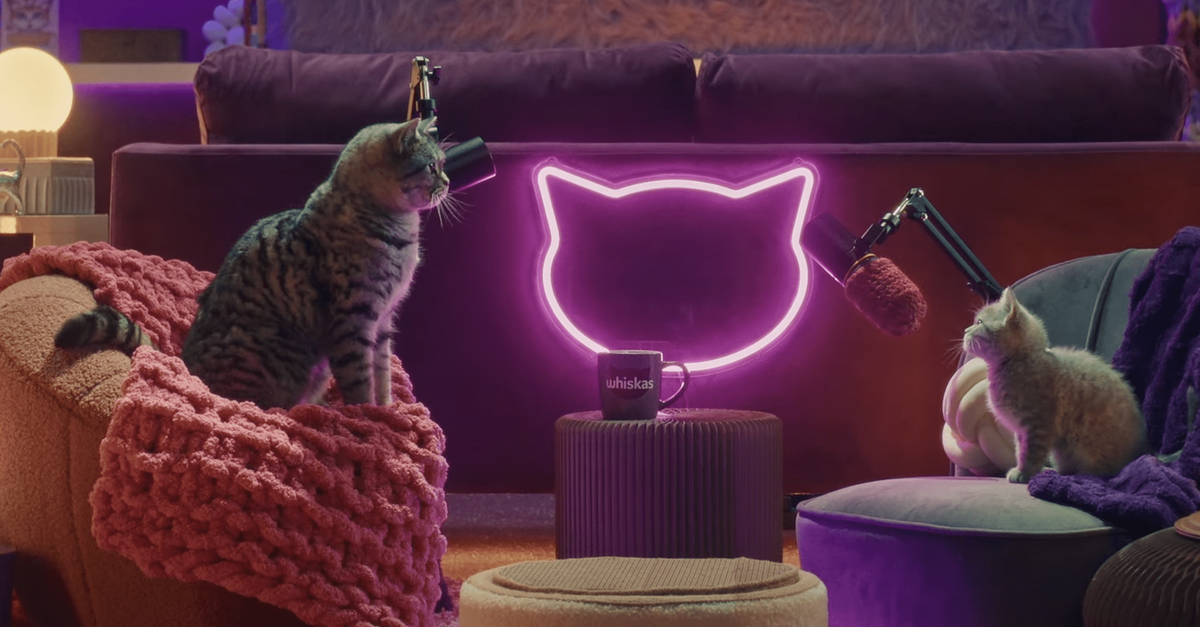 Кадр из Whiskas Purrcast