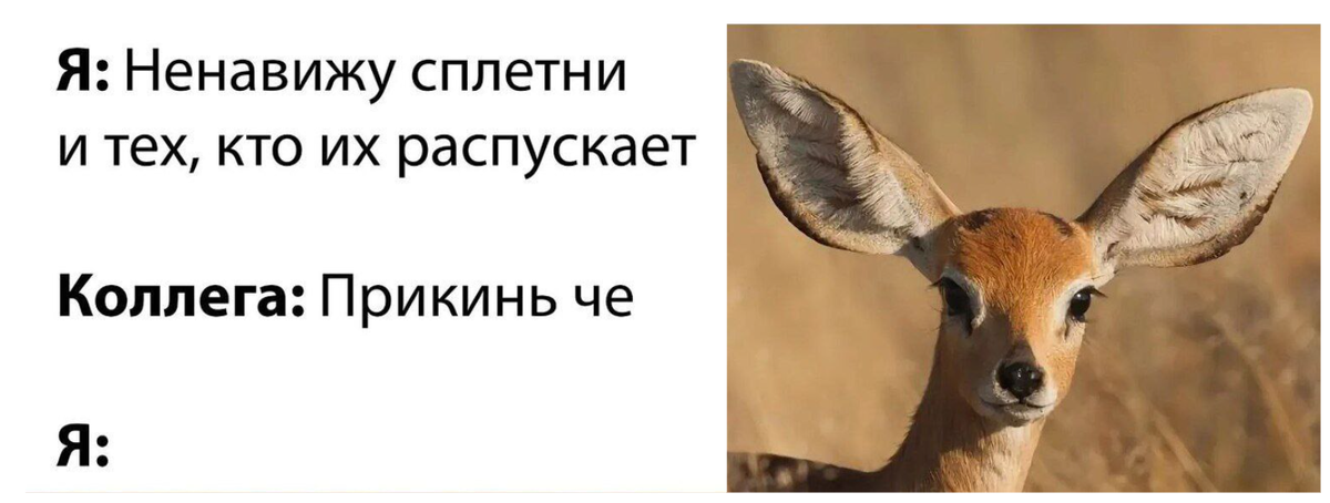 Но как будто это часть офисной культуры, с которой каждый готов мириться, пока это не касается лично тебя.