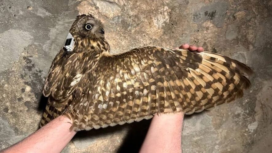    Фото: Татнефть