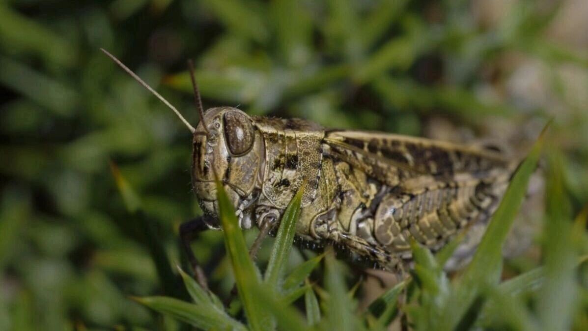     Источник: phere.com