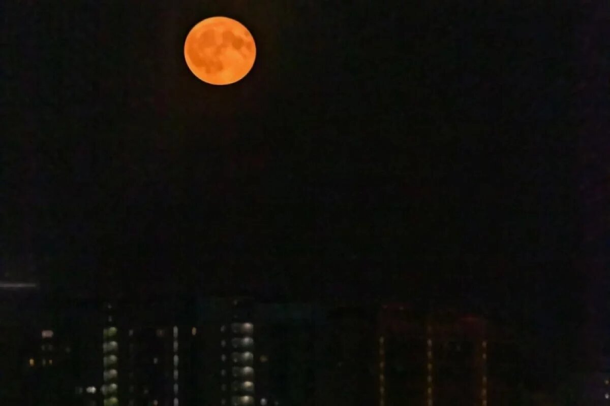    Астроном Богачев объяснил явление «Клубничная Луна»