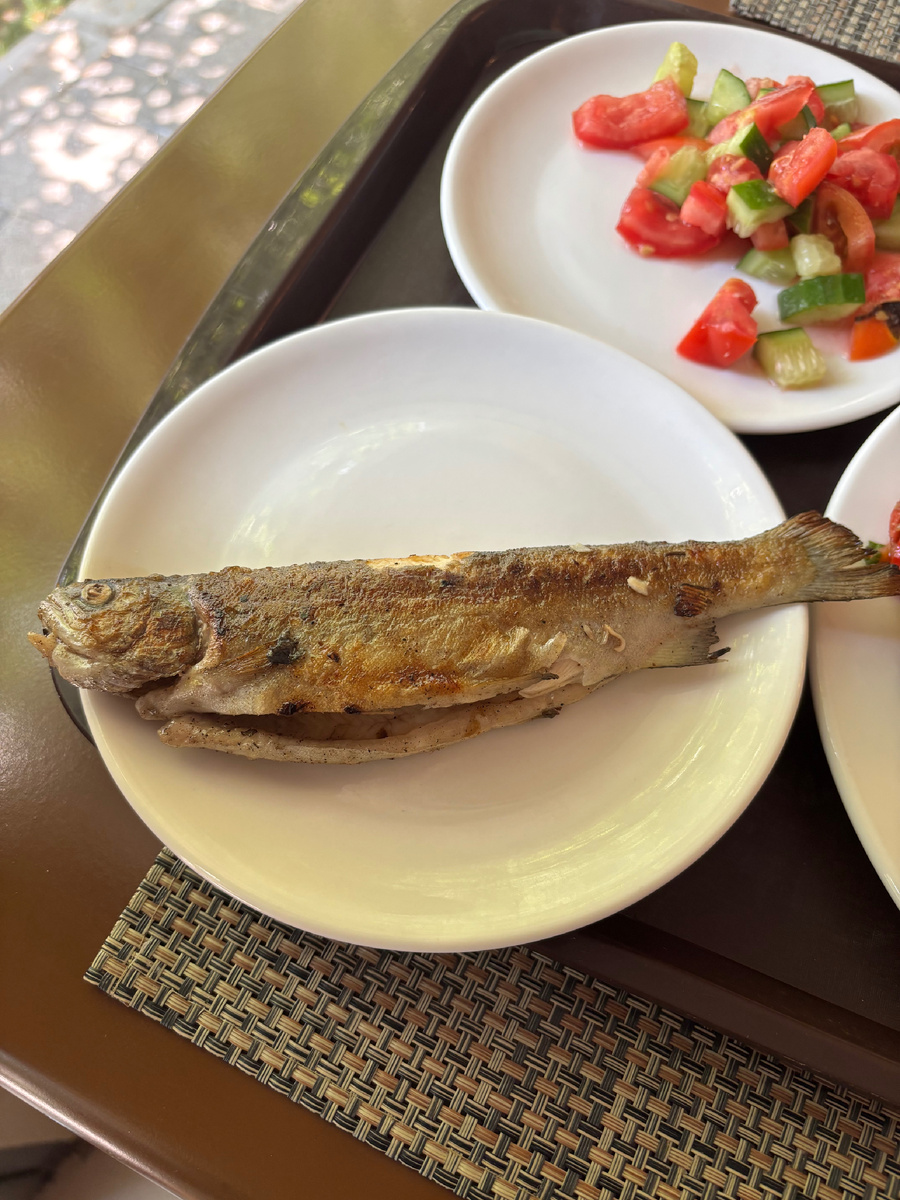 Тресковая форель