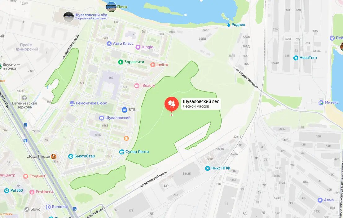    Шуваловский лес. Фото: скрин Яндекс Карты