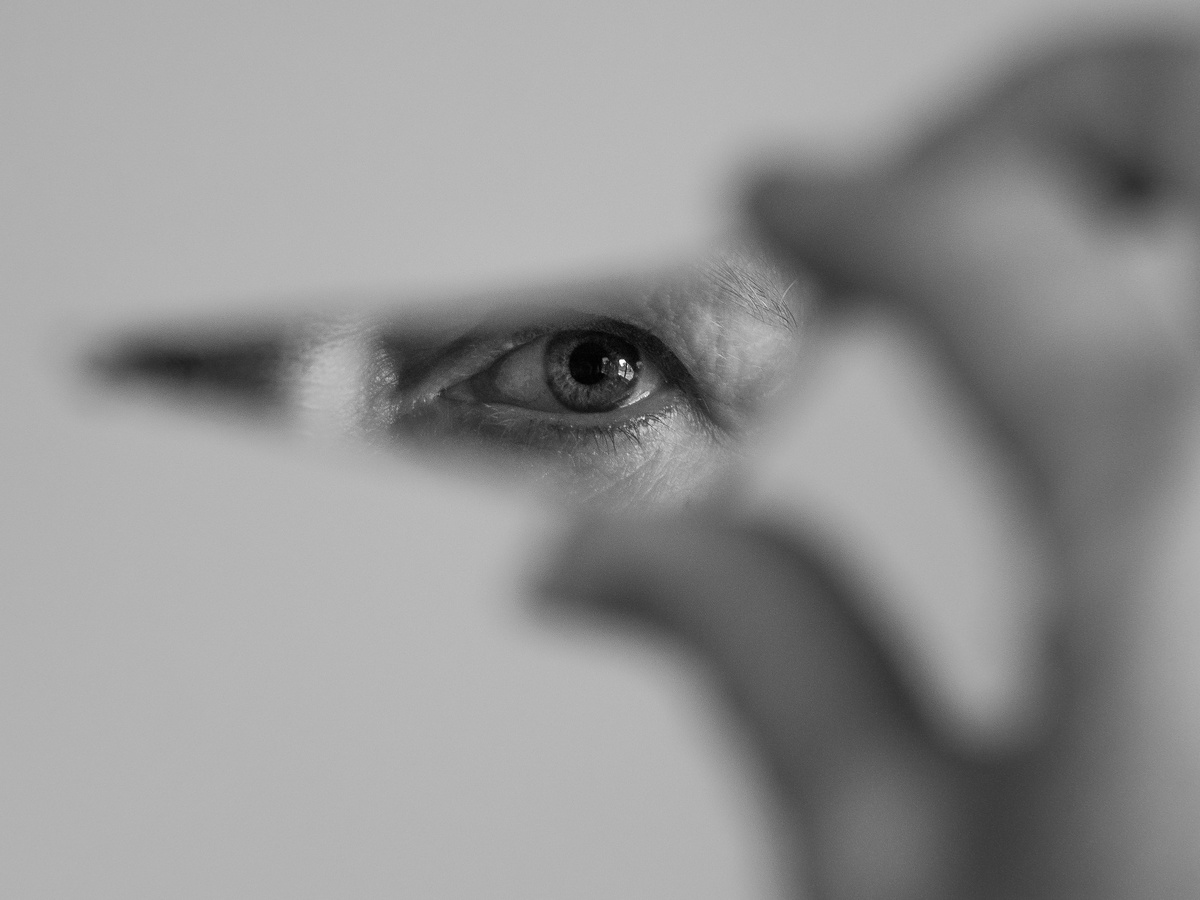 Фото с бесплатного фотостока https://unsplash.com, автор - Landsmann -