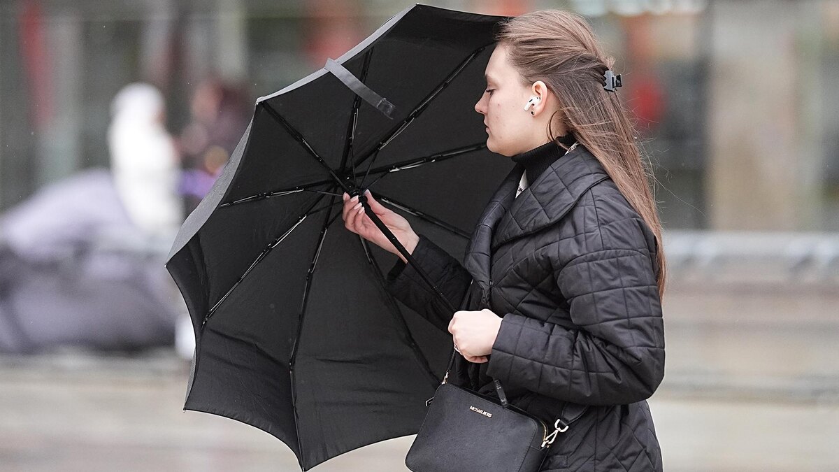    Фото: ИЗВЕСТИЯ/Павел Волков