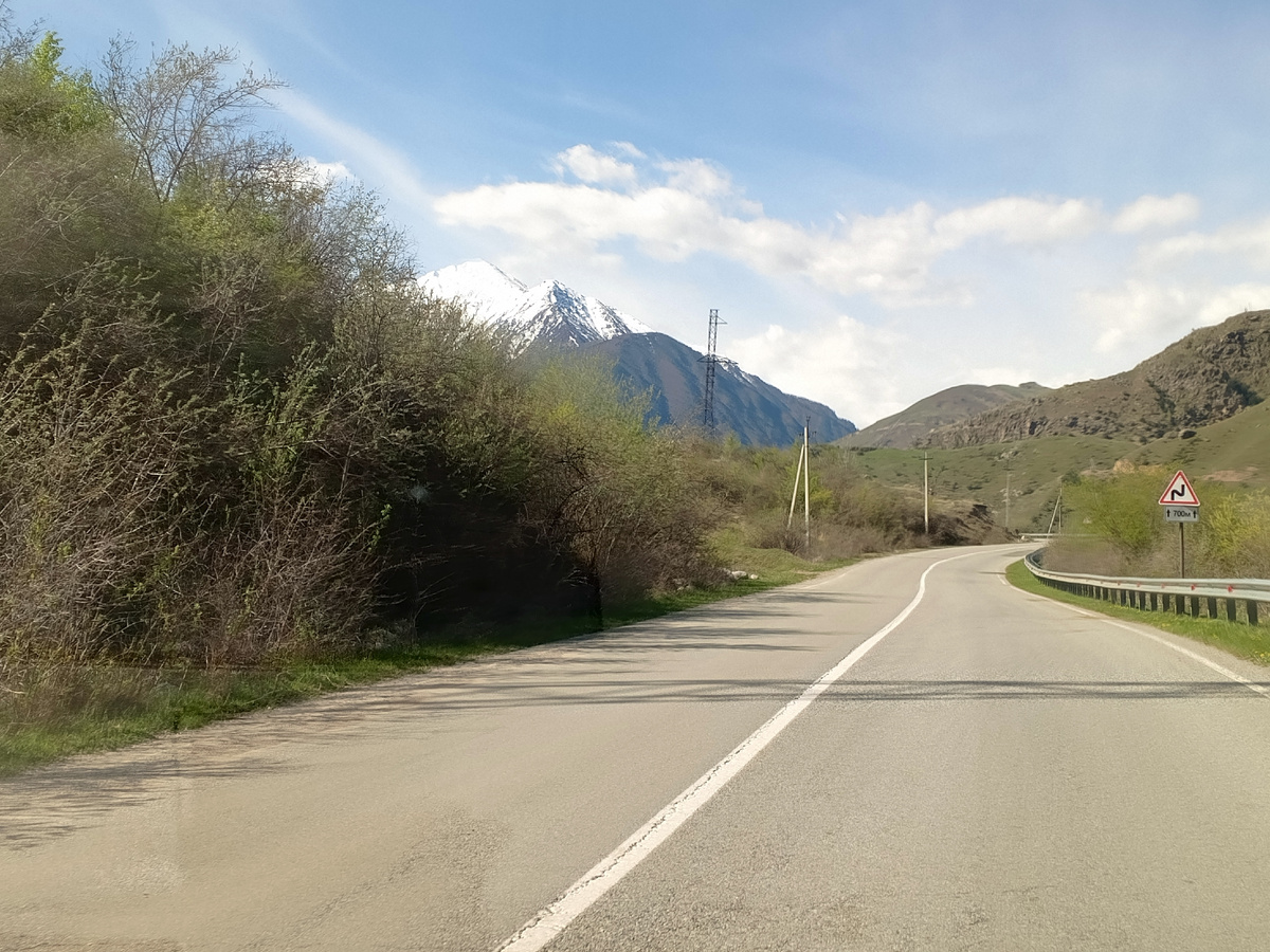 Фото авторов