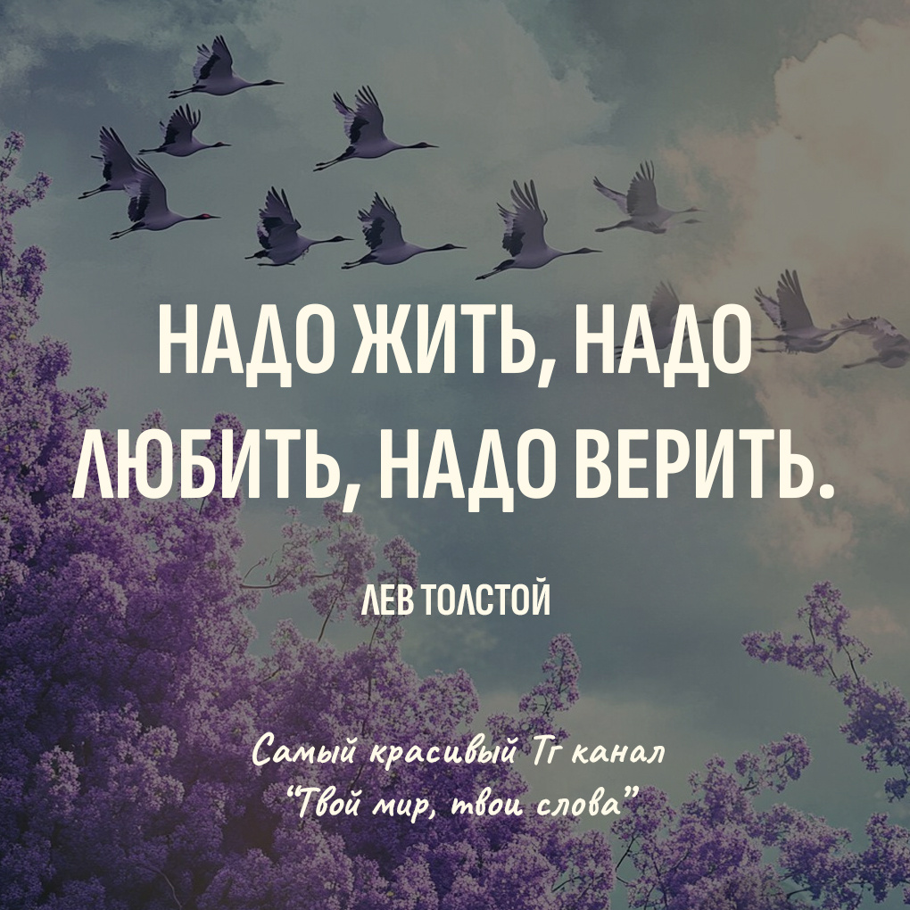Цитаты про смысл жизни: Надо жить, надо любить, надо верить.