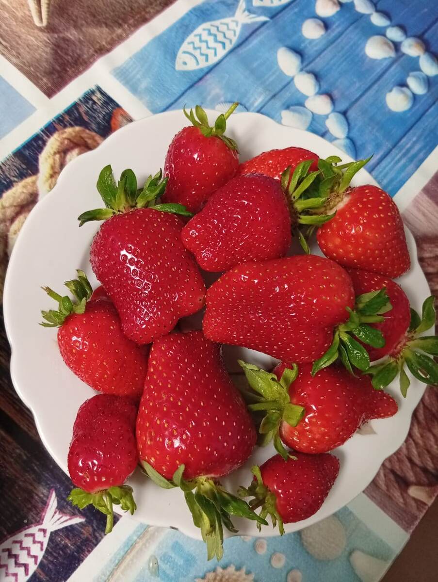 Клубника сорта клери