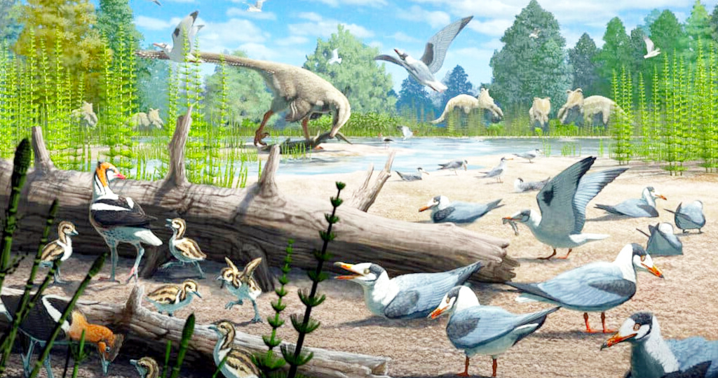 Когда птицы угнездились в Заполярье?