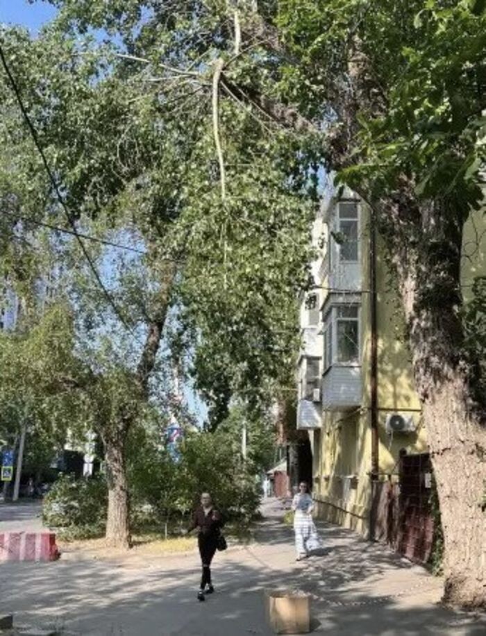 Источник фото: Соцсети