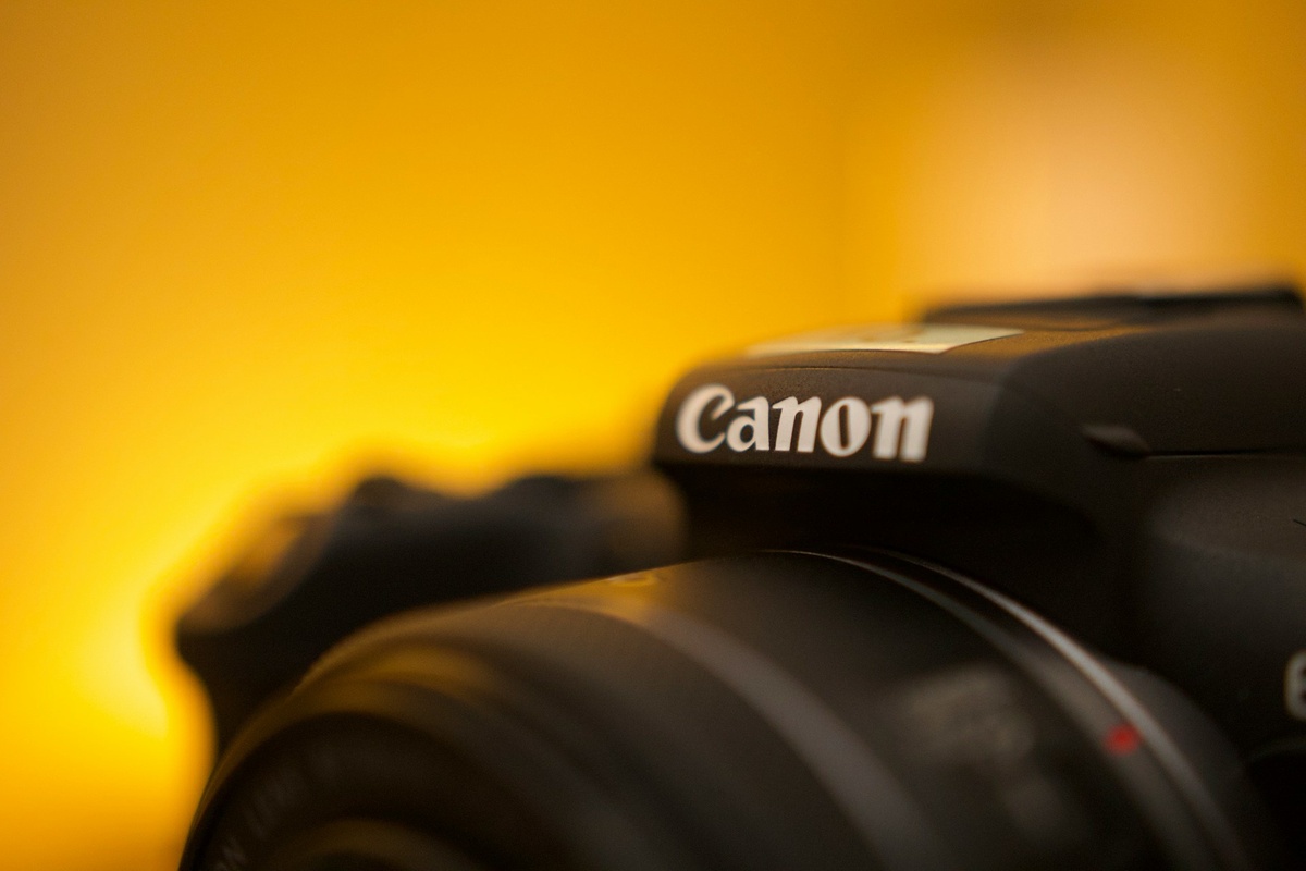    Объективы для зеркалок обозначают буквам EF, а для зеркалок Canon — RF / Фото: unsplash.com