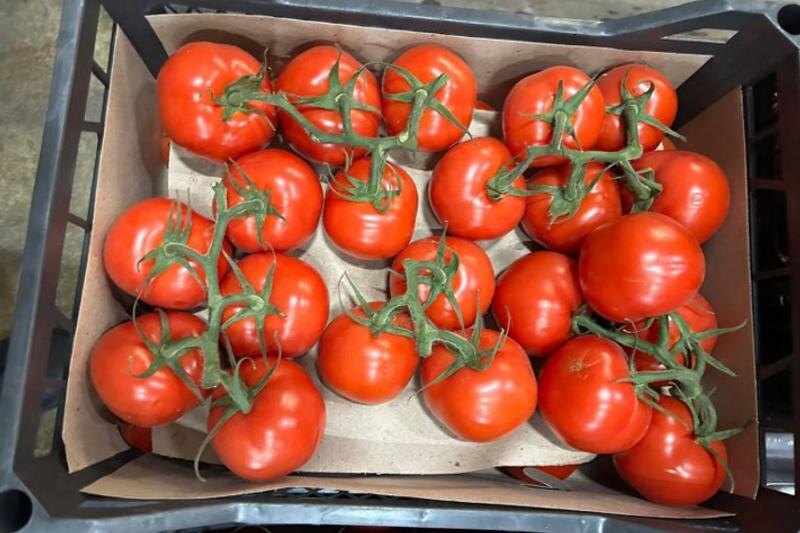    Россельхознадзор