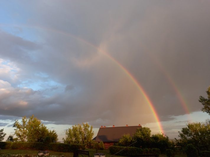 Фото: Ирина Леонова