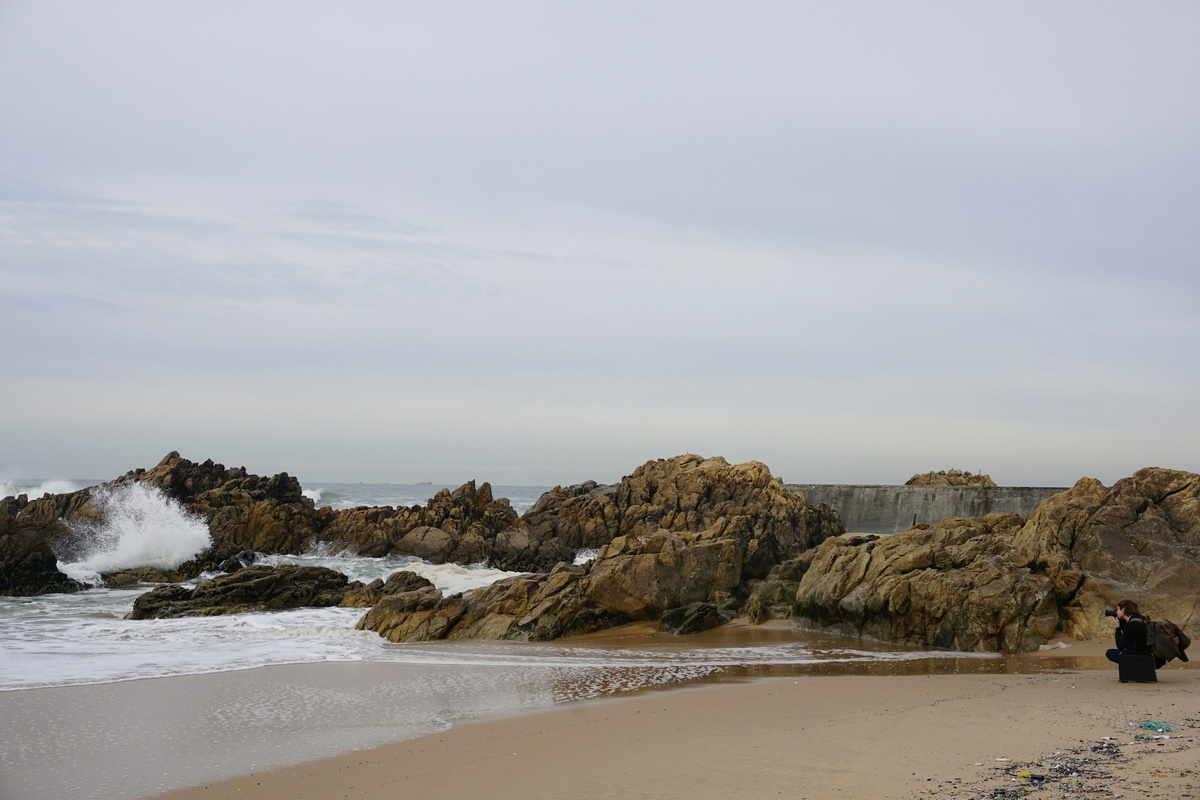 Фото с бесплатного фотостока https://unsplash.com, автор Sebastien Devocelle