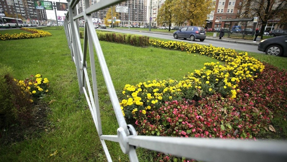    Пересечение Богатырского проспекта с Коломяжским. Клумба. Автор фото: Ваганов Антон