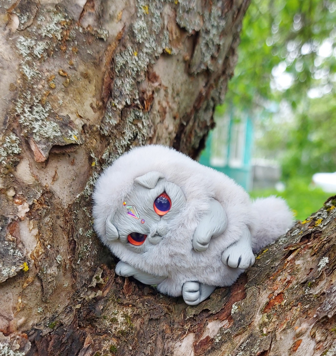 Маленький серый котенок. Фото автора канала