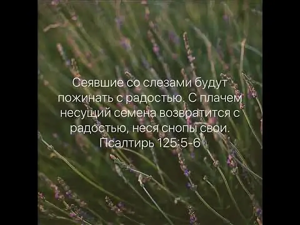 Картинка взята из общего и свободного доступа в интернет