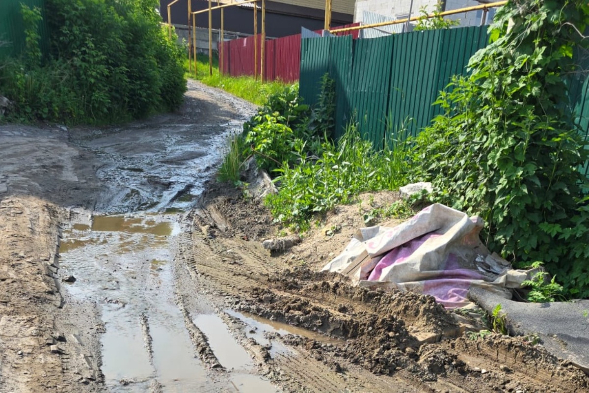    Фото: читатель "Прецедента"