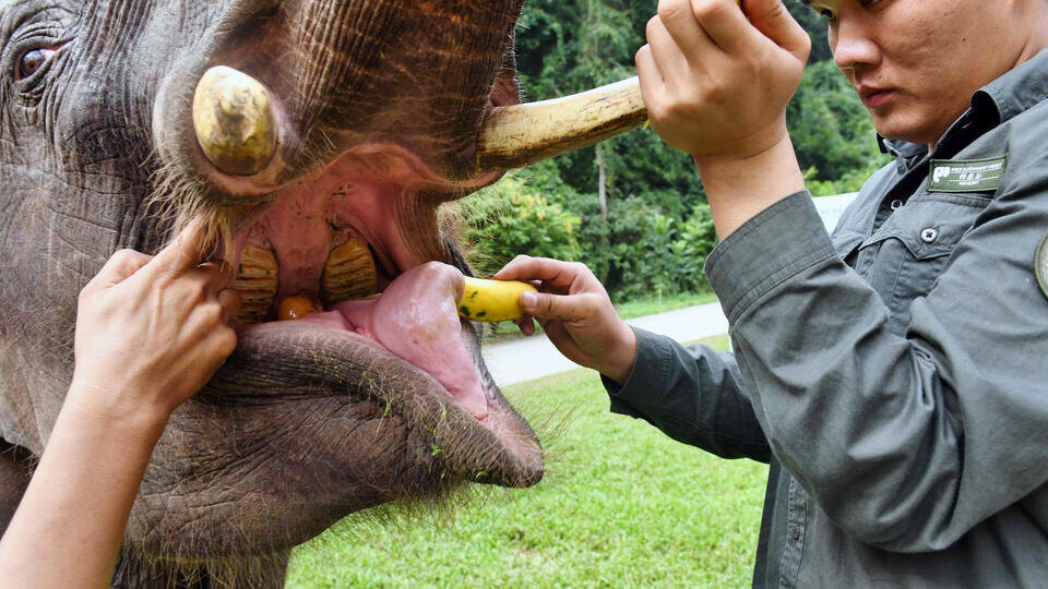 Фото: © www.globallookpress.com/Yang Zongyou/Xinhua