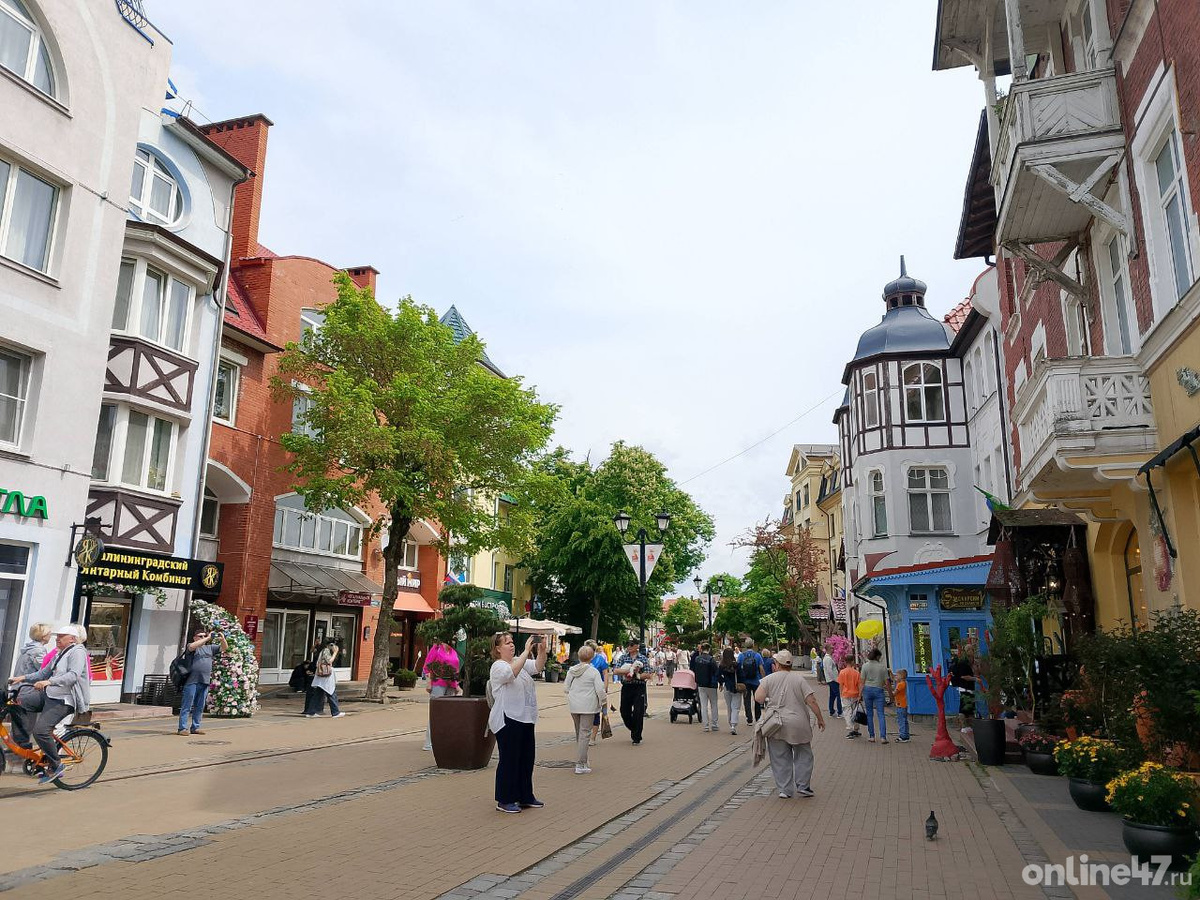 Дарья Нестерова/Online47