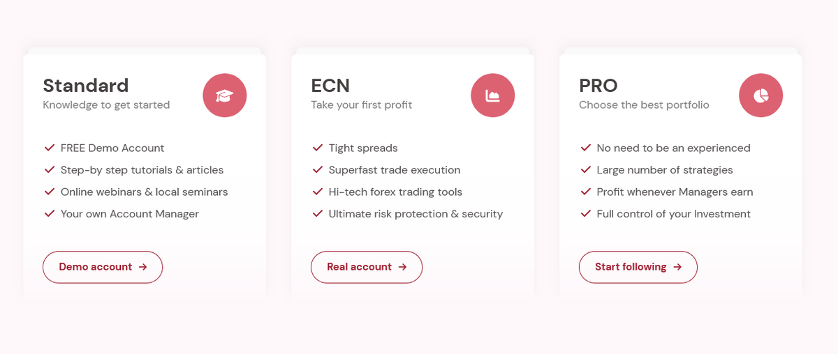 Условия брокера Biglot: гарантии прибыли и другие красные флажки