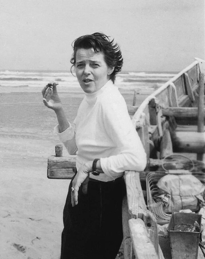 Шарлотта Перрианд