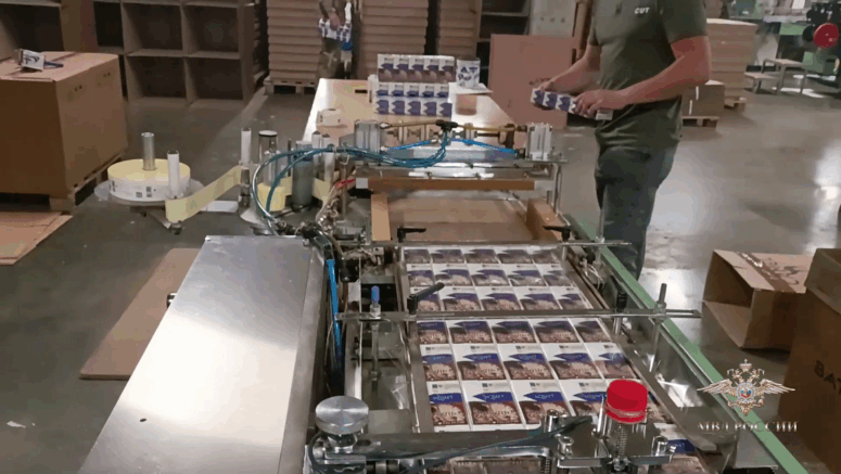    кадр из видео / МВД Медиа