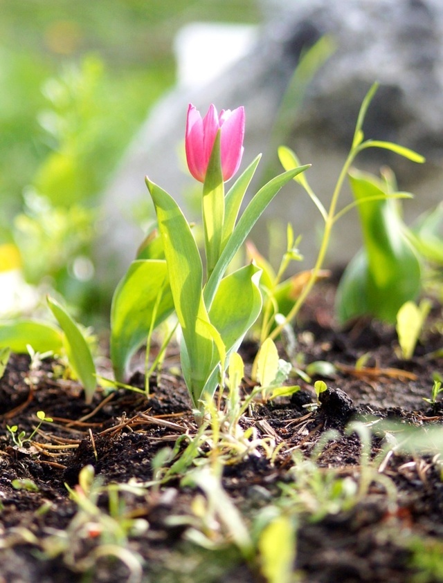 Все фото авторские