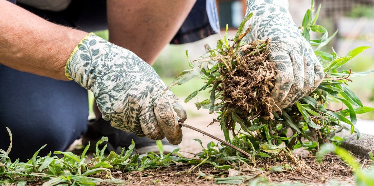 Фото Эми Гловер