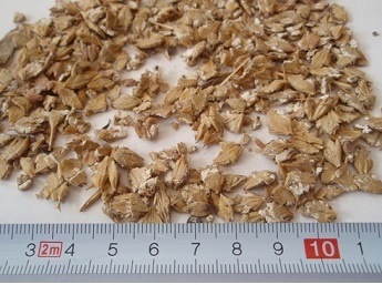 Плющенное сухое зерно