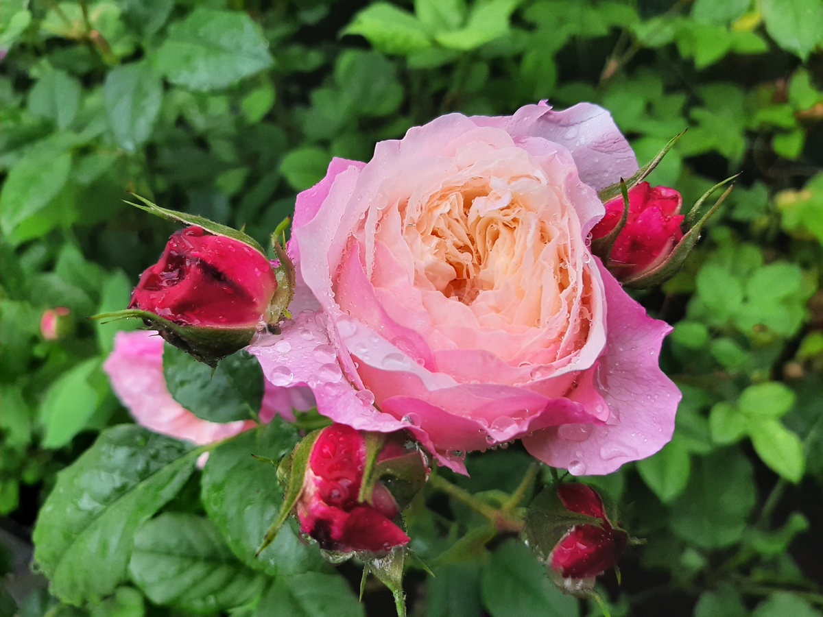 В начале так