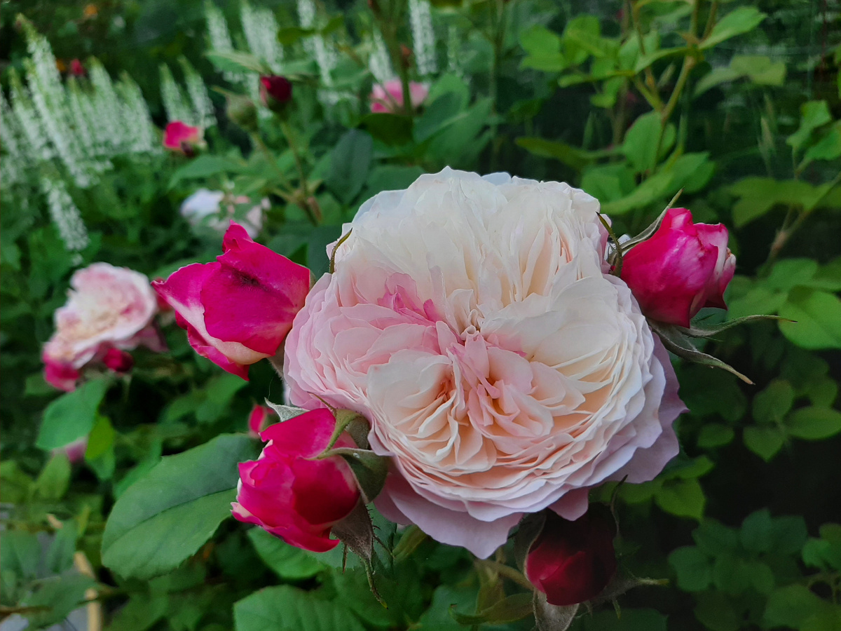 На следующий день