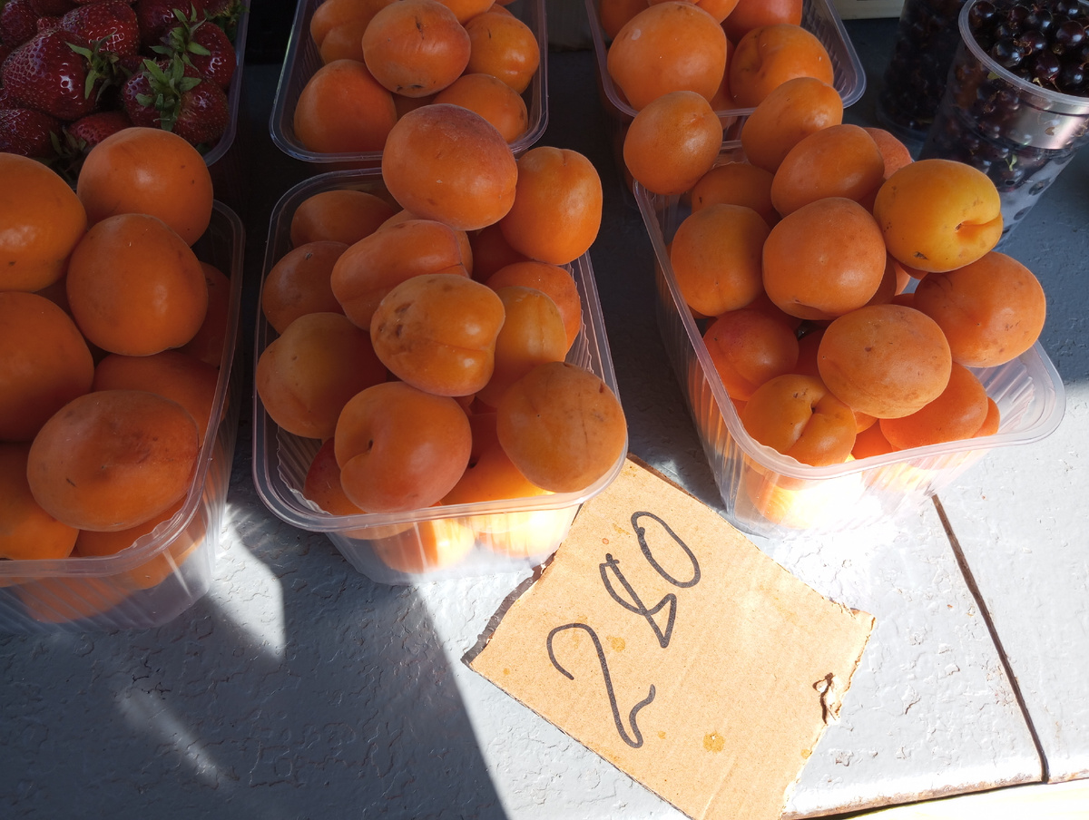 Фото: Виолетта ГАВРИЛЕНКО.