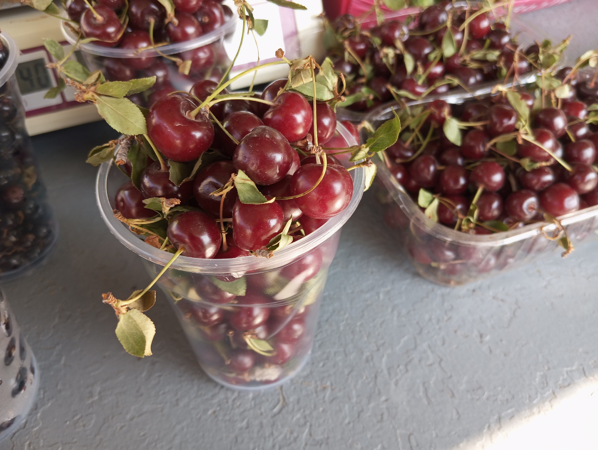 Фото: Виолетта ГАВРИЛЕНКО.