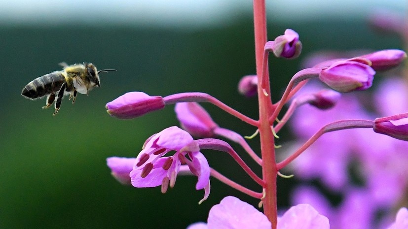   РИА Новости Илья Наймушин
