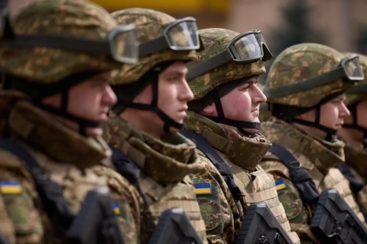    Украинские силовики в Сумах закупают щиты для разгона демонстраций